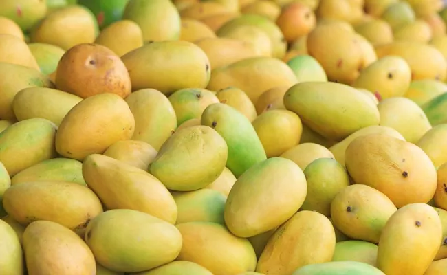 Calcium carbide Use For Mango Fruits In Telugu States - Sakshi