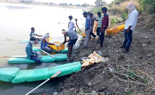 No Use Of Fish Distribution Programme In Nizamabad - Sakshi