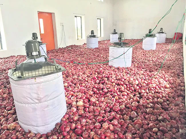 onion storage system - Sakshi