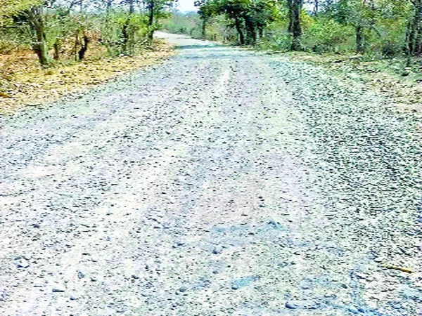 Villages Roads Is Not Good in Nizamabad - Sakshi