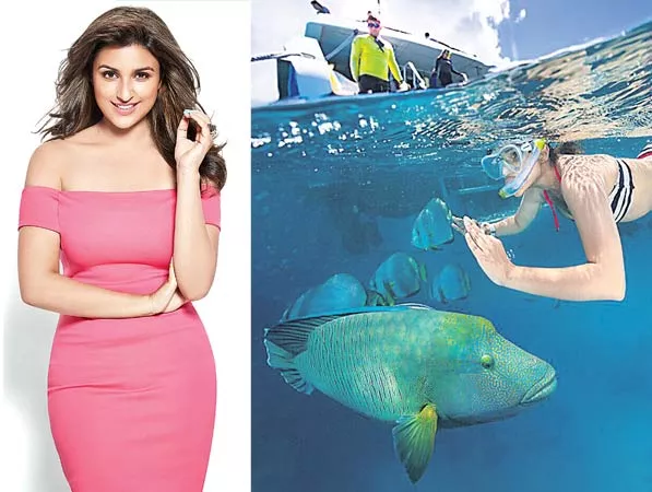 Parineeti Chopra enjoys scuba diving in the Great Barrier Reef - Sakshi