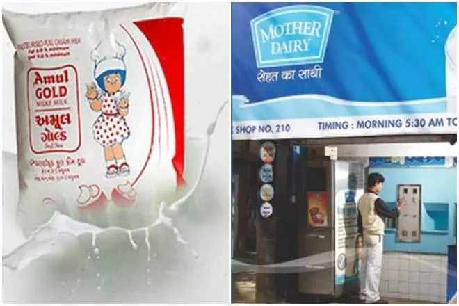 Samples of Mother Dairy and Amul found to be of substandard quality - Sakshi