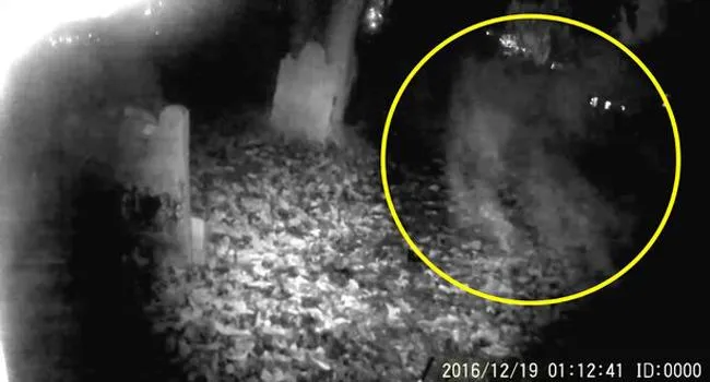 Graveyard Ghost Flies Straight At Spooky Fooatge - Sakshi