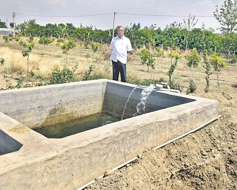 Mango production and drip irrigation - Sakshi