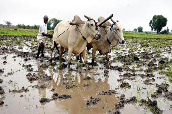 Agricultural department transfers for Raithu Bandhu - Sakshi