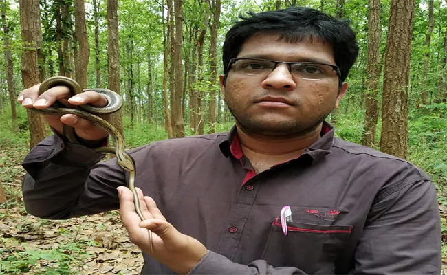 Rare Trinket Snake Spotted In Jayapuram Forest - Sakshi