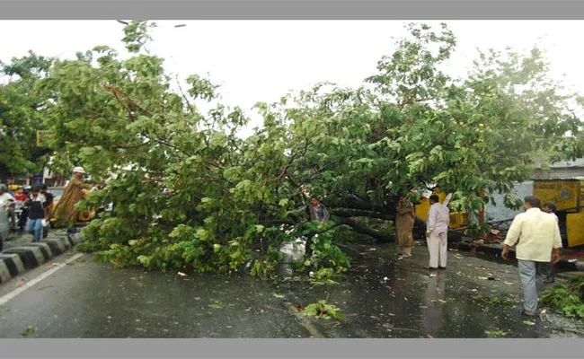 Heavy Rain Likely In Telangana Districts - Sakshi