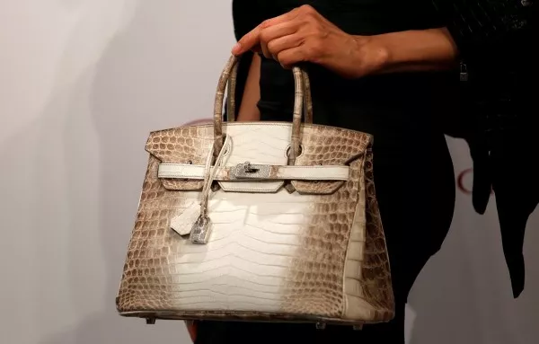 Hermes Birkin Handbag Sold For Record Amount In Hong Kong Auction - Sakshi