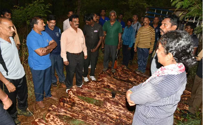 Sandle Wood Caught In Chittoor Forest - Sakshi