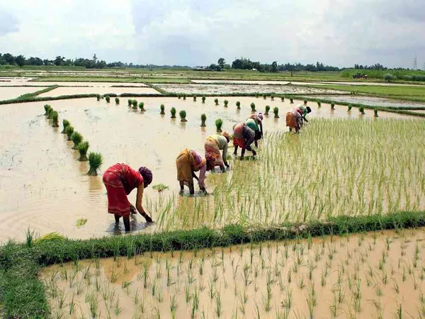 Farmer income doubled with krishi kalyan abhiyan - Sakshi