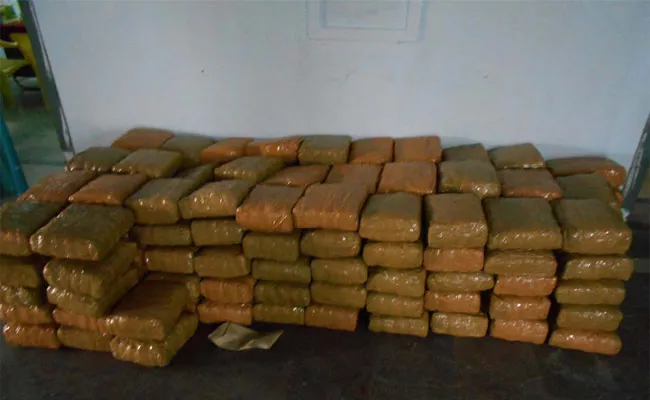 240 kg Of Marijuana Possession - Sakshi