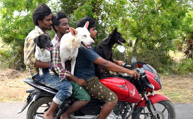 Triple Riding On Bike Machilipatnam Krishna - Sakshi