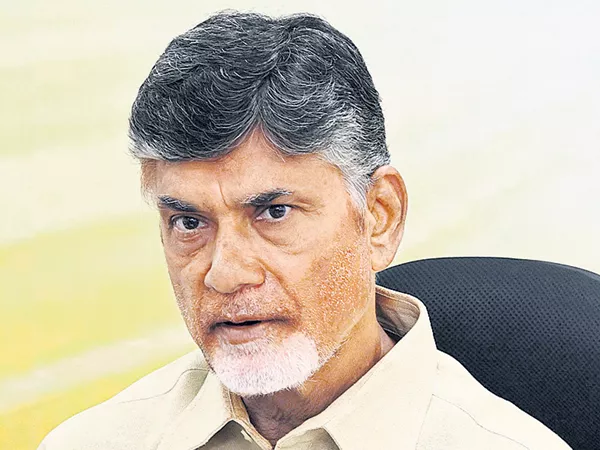 CM Chandrababu criticism on Karnataka BJP Issue - Sakshi