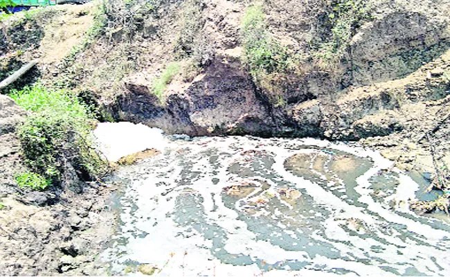 Water Pollution In Godavari With Paper mill East Godavari - Sakshi