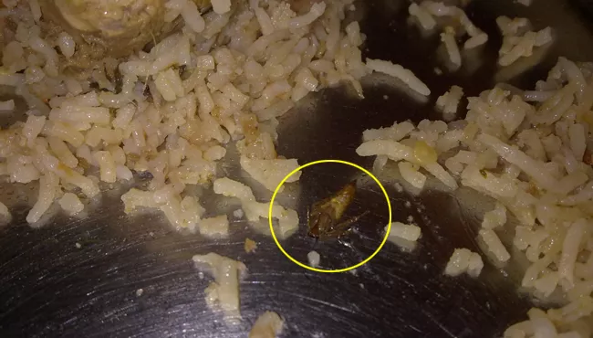 Cockroach Found In Food Served To Journalists - Sakshi