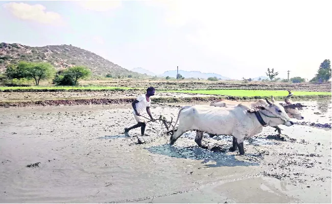 Government Increased Agriculture Loans To Farmers In Telangana - Sakshi