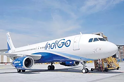 IndiGo, SpiceJet, GoAir hike excess baggage charges for domestic flyers - Sakshi