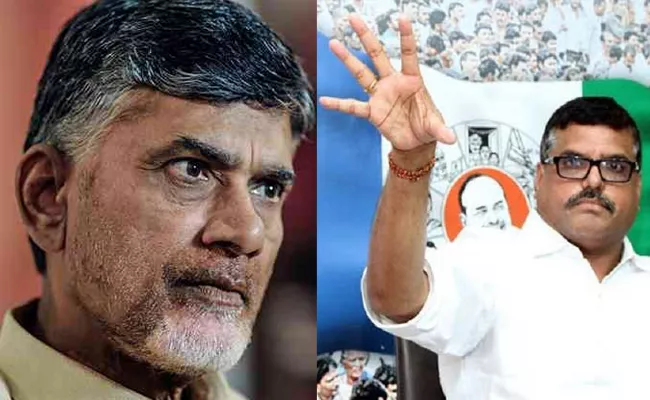 YSRCP Leader Botsa Satyanarayana Slams Chandrababu Over Venkataraya Chitfund scame - Sakshi