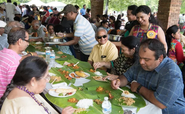 Chicago Andhra Association Picnic - Sakshi