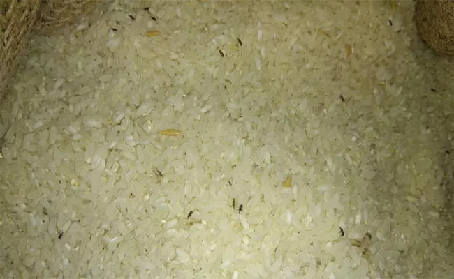 Worms In The Rice - Sakshi