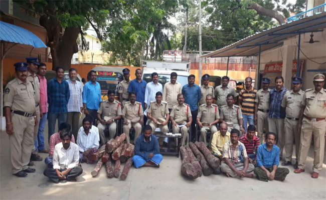 Red Sandal Smugglers Arrested  In Kadapa - Sakshi