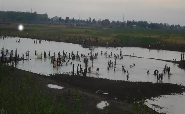 Kuravi Pond Looted By Peoples For Fish In Mahabubabad - Sakshi