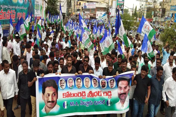 YSRCP Party Members Fight For AP Special Status - Sakshi