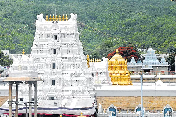 Activity for Tirumala Sanctuary - Sakshi