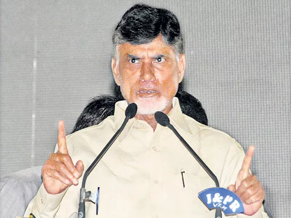 CM Chandrababu comments on Pawan Kalyan - Sakshi