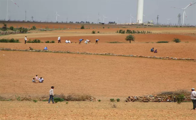 Diamond Hunt Begins - Sakshi