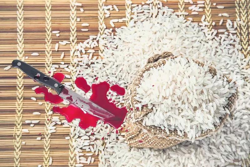 Worm in the rice - Sakshi