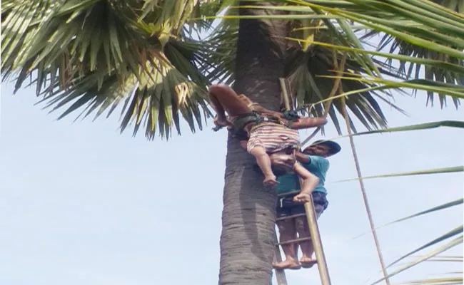 Worker Died On Palm Tree - Sakshi