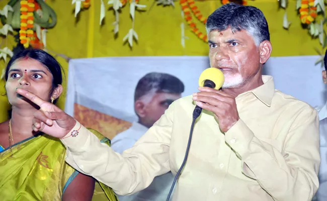 Chandrababu Fires On People Navanirmana Deeksha At PSR Nellore - Sakshi