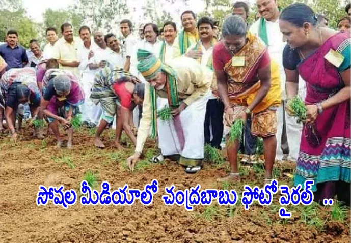 Chandrababu Viral Photo on Eruvaka Program - Sakshi