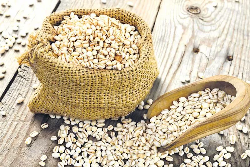 Many benefits to health with barley - Sakshi