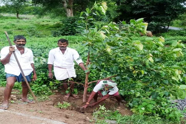 Nature Lover In Nekkonda - Sakshi