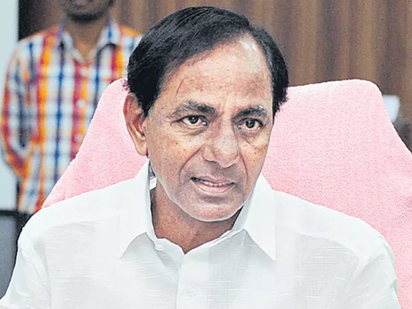 CM KCR decision on purchase of subsidized Buffalos - Sakshi