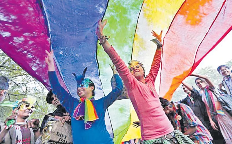 India's Top Court Reviews Homosexuality Ban - Sakshi