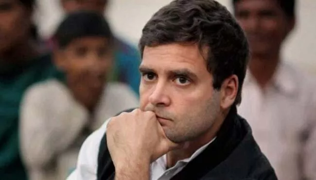 Minority Intellectuals Suggests Rahul Gandhi Address Bigger Issues Rather Talking About Muslims - Sakshi