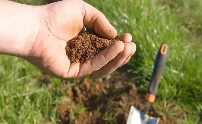 Soil Test For Crops And Agricuture In Prakasam - Sakshi