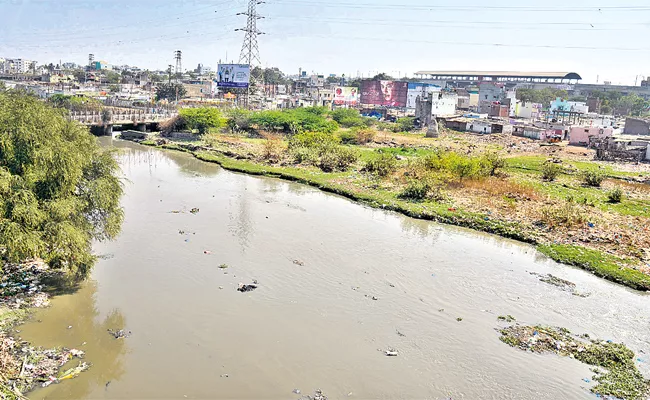 Law Studetnts Go to National Green Tribunal On Musi River Pollution - Sakshi