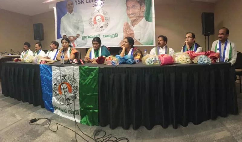 YS Rajasekhara Reddy Jayanti Celebrations At Dallas - Sakshi