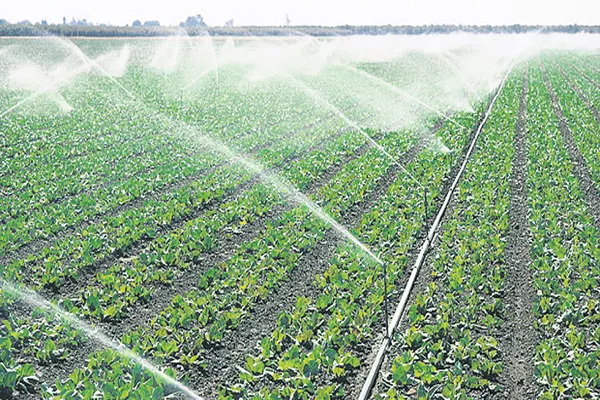 Telangana is the tenth place in Micro irrigation - Sakshi