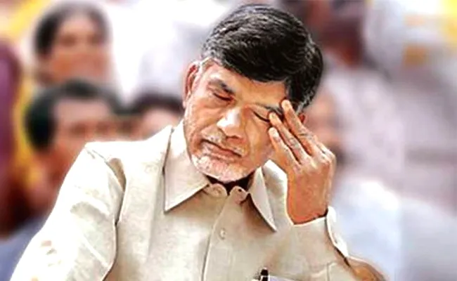 Chandrababu Naidu Fake Promotions On Anna Canteen - Sakshi