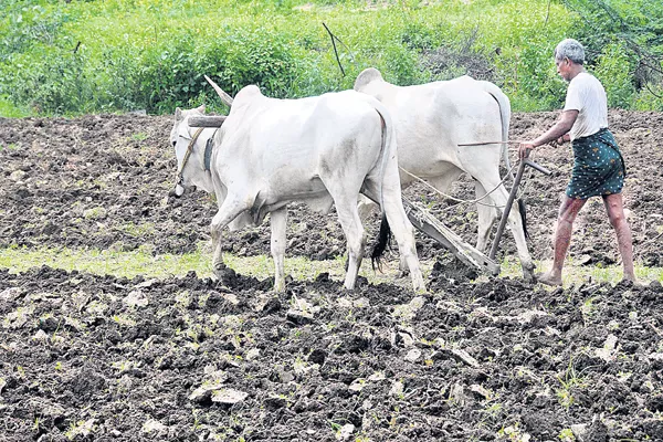 Neglect of banks in giving crop loans - Sakshi