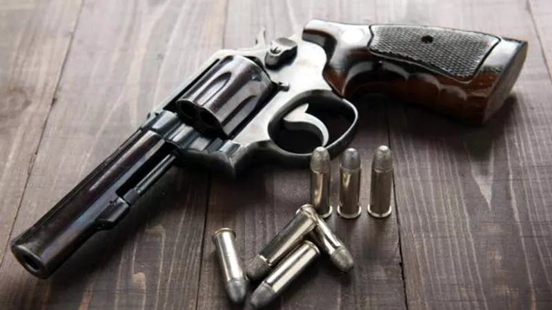 national database for gun licence holders - Sakshi