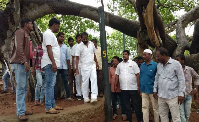 MLA  Srinivas Goud Visited Pillalamarri Tree - Sakshi