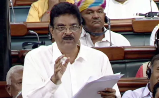 Kambhampati Haribabu Slams To TDP Leaders In Parliament session - Sakshi