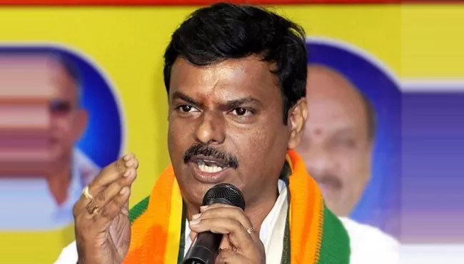 BJP MLC Madhav Comments On TDP MPs - Sakshi