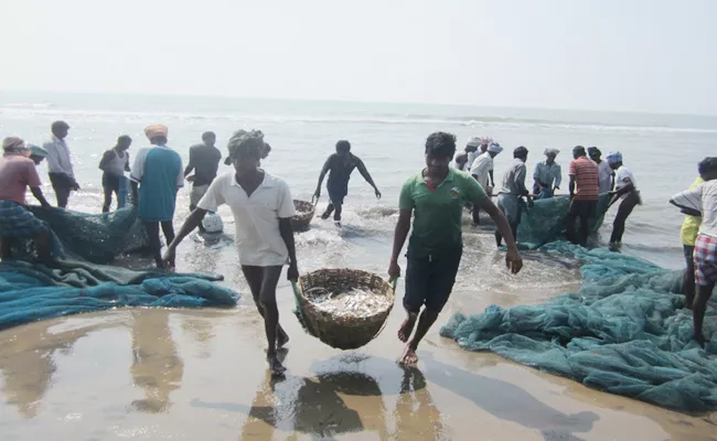 Fish Huntings In West Godavari - Sakshi